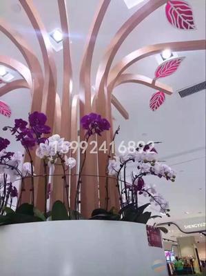 德普龙学校木纹型材铝方管