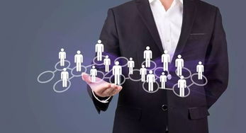 公关总监的职场定位与裁员风险 中层管理者的生存法则